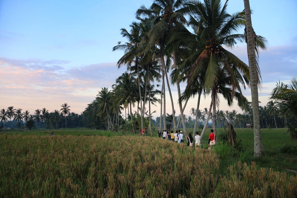 Om Ham Retreat y resort Ubud Exterior foto