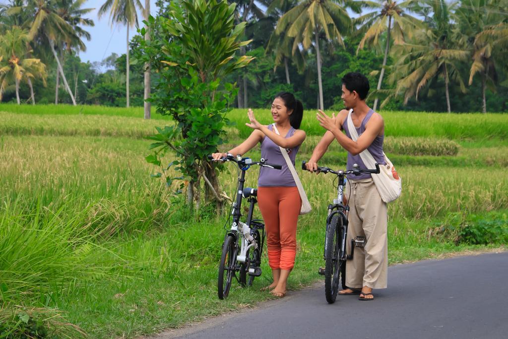 Om Ham Retreat y resort Ubud Exterior foto